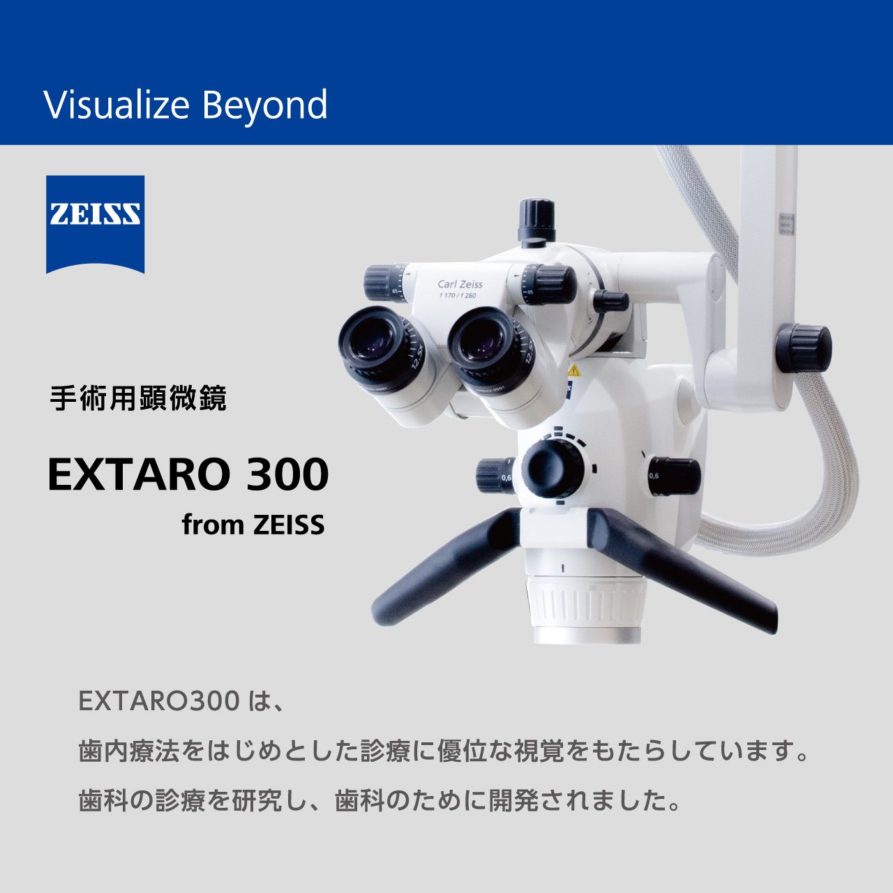 EXTARO 300