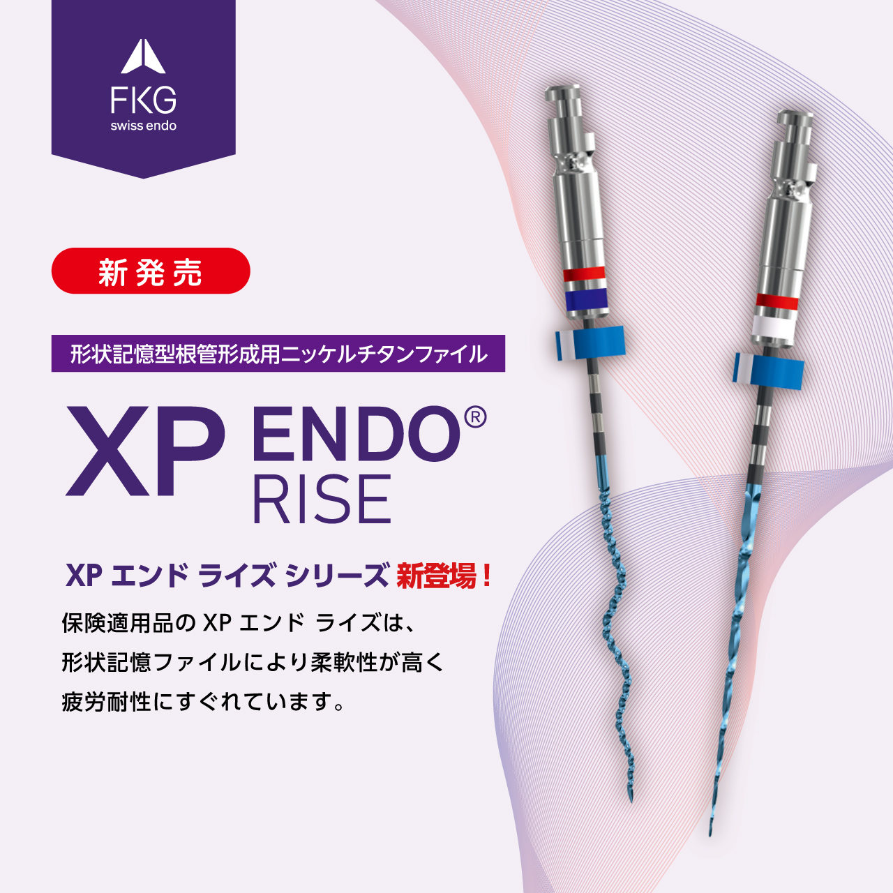XPエンド ライズ