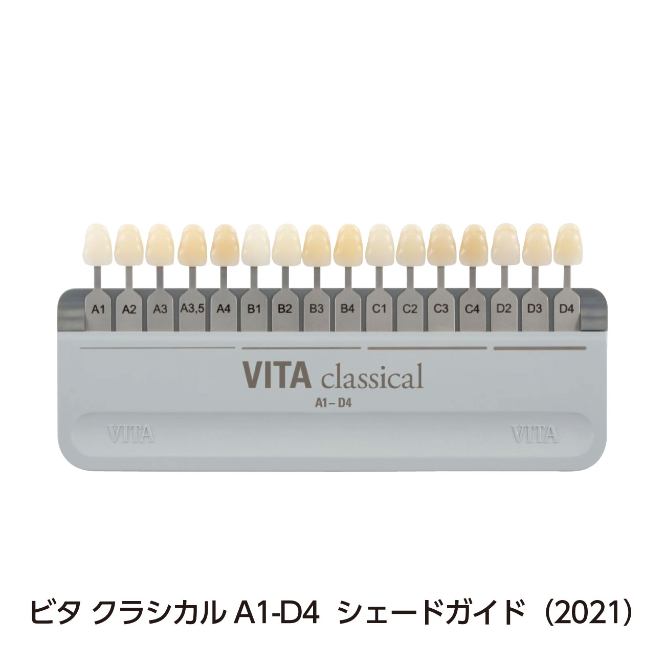 ビタ シェードガイド