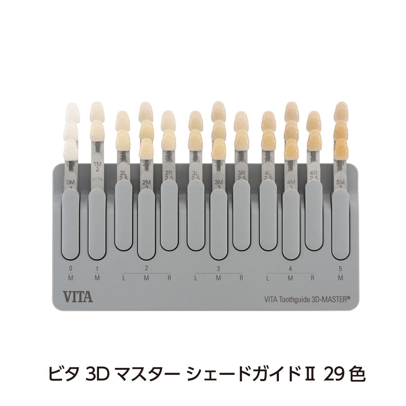 ビタ シェードガイド