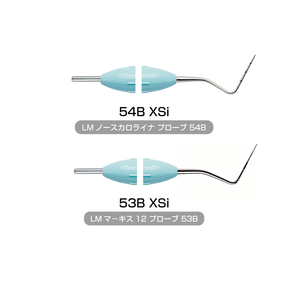 LM ペリオプローブ