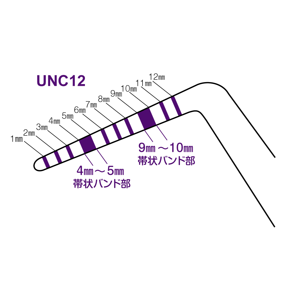 ペリオワイズ UNC12