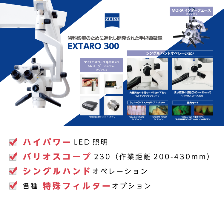EXTARO300_LP
