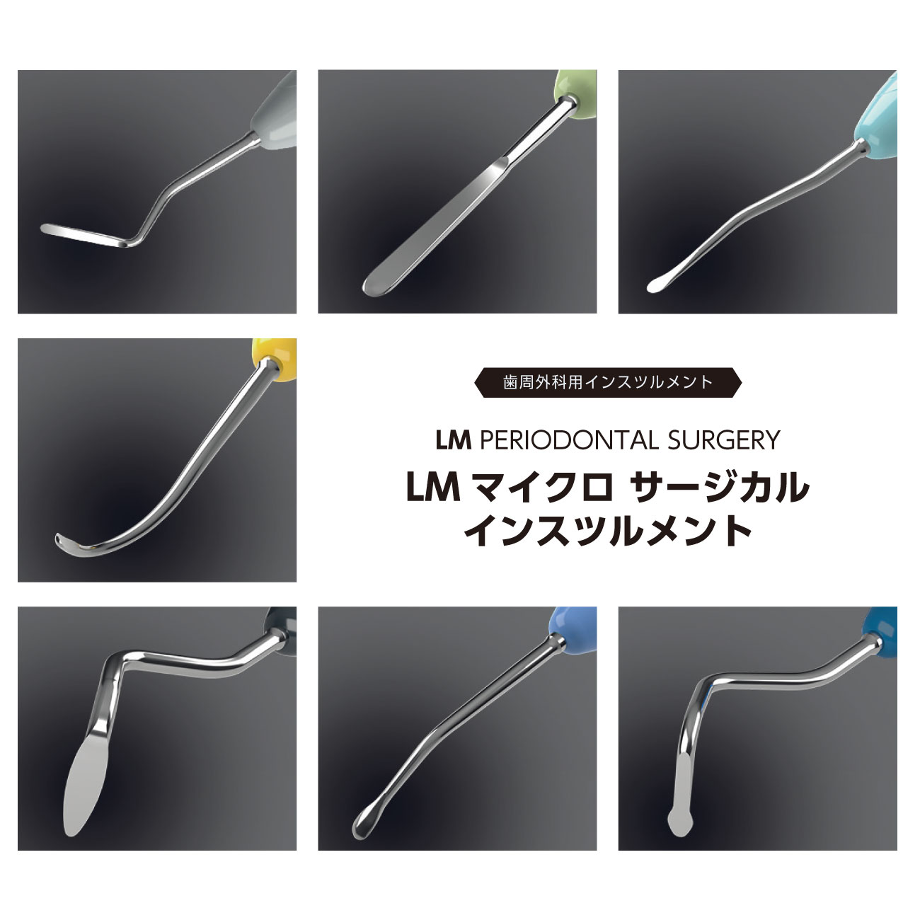 LMマイクロサージカルインスツルメント