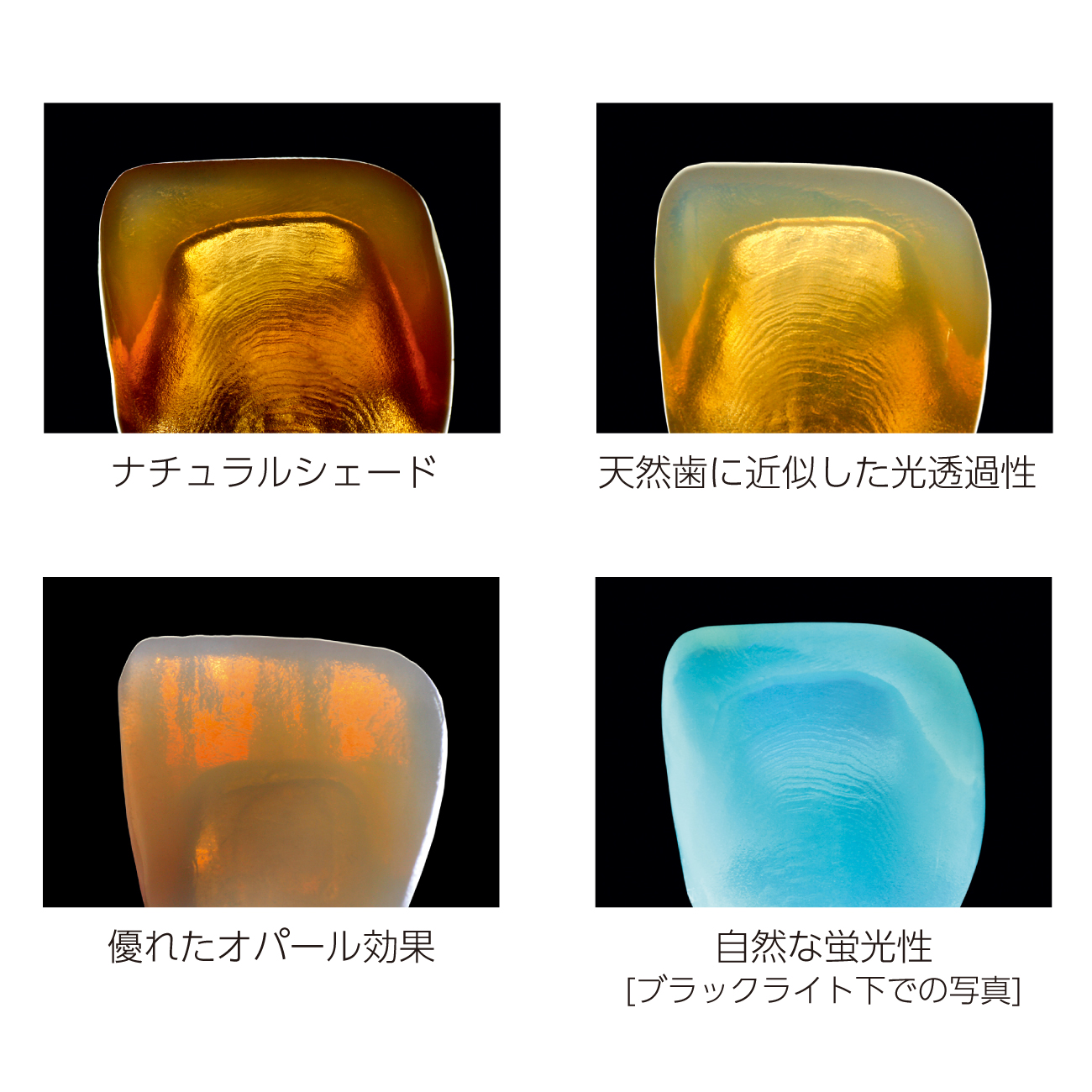 ビタ スプリニティ