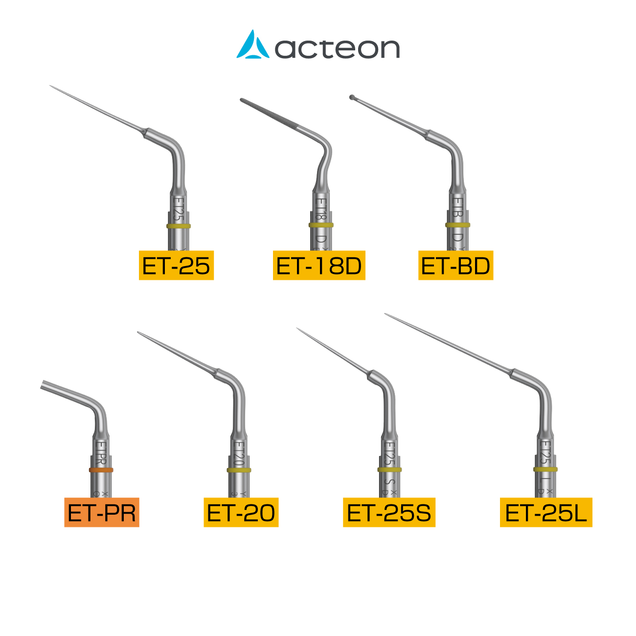 エンドサクセスチップ
