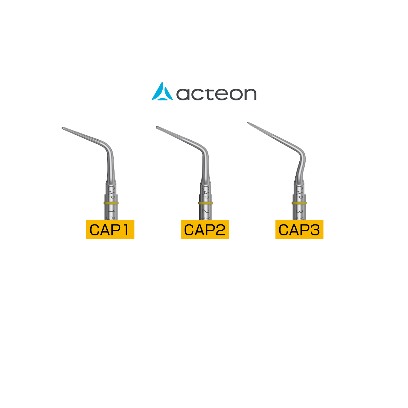 エンドサクセス キャナル アクセスチップ