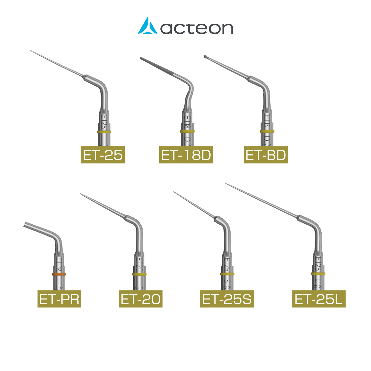 エンドサクセスチップ